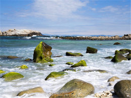 ��;��Ϯ����ƣ�� �յִ�������֧�޵�