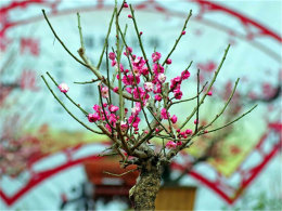 ��÷��Ȼ���� ������Ҥ��ַ��԰����ů