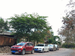 �������������� ������˫���ɴ��ⰻȻ