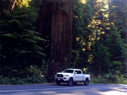 ���������Ļ��� ��������ʯ��԰�ľ���