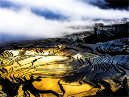 ���������þ�֮�� ��Ԫ�����������