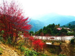 ��������Ȼ���� ����·��Ұӣ��������