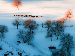 ������������� ���������ͳ��������