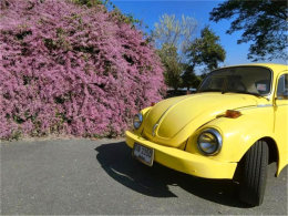 �����Ǻ���ϰϰ �������������õĻ���