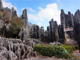 ����˹�ص�ò��� �������е�ʯ��ӡ��