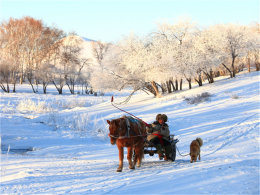 һƬ����ɫ���� ǰ�����ϲ�ԭѩ��ʥ��