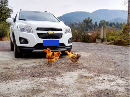 �Ͳ˻������ҫ�� �����ձ��Žֺܰ���