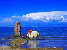 �����ļ���� ���������߽������ຣ��