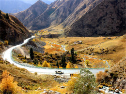 ����������������� �Լ��½����⹫·