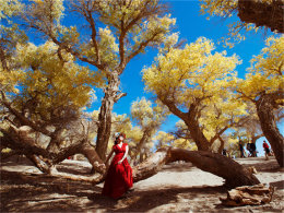 ������ǧ��ȴ� ��Խ����ɽ�ɫ������