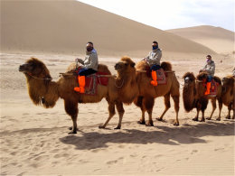 �����ڸ��̲�� �����ҳ������˪����