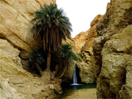 ��������֮�� ˳���ִ���޳��ȿ�����