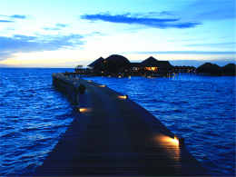 ֻԸ�泯�� ������鹲������ϣ�ٵ�