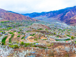 �׿����ջ��ڵ��� ���滨ʢ���ư�ѩ