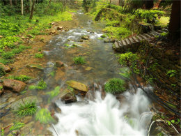 ���ɴ�ɹ�ʶ ����5000����ʻ���żҽ�