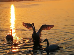 ӭ����ߵ�Ϧ�� ��������յִ��̶ս�