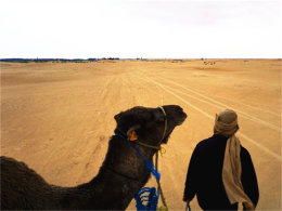 ����ƻ�б�� ���������Ҹе�һ˿�־�