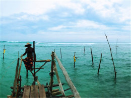 ����Ц�����ʵ ̤��˹��������������