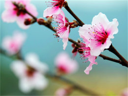 �������в����԰� �ִ���Դ��ƽ���һ�