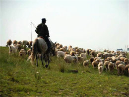 �紵�ݵͼ�ţ�� �����ɹŲ�ԭ��������