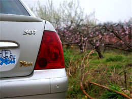 ����������˼�� ϸ��Т������һ�����