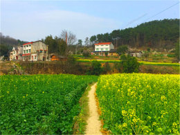 ����Ŀ��ᶨ���� ��������Ĵ��ɽ��