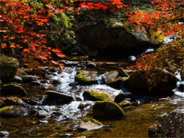 �̲������ޱ� �����̽��캣̲���ؾ���