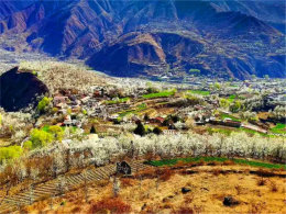 ���������鴫 վ�ڽ��滨������ҷ�