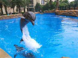 Ц�ո��Ϻ������� ��¡��������������