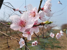 ׷�洺�Ų� �����ƻ������Լݰ�������