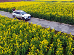 ���໨��֮�� ϸ�Ẻ�������Է�������