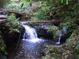 ���֡�����ƣ�͡� ��ˮ˫�����������