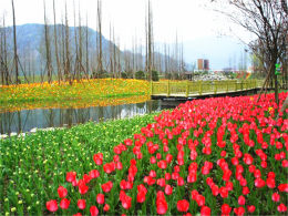 ������������ʱ ͨ������������ö�Ŀ