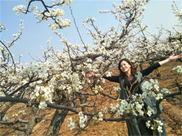 ��������һ����� ����ˮ���滨������