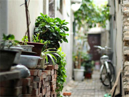 ���ߵĵ��ε� ��¼������ͬ�еĹ���