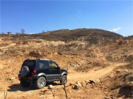 ͵�ø��������� ���Ի���ɽҰ�������