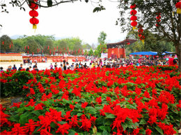 ���Ͳ�ס���е��ڴ� ����ǰȥ���ϻ���