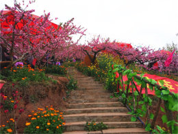 ����ůů��ҫ���� ����Ȫ�һ����޷ҷ�