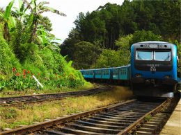 ��������Ļ� ����˹�������˼�����