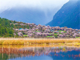 ·;�п������� ���üƻ�ȥ��֥���һ�