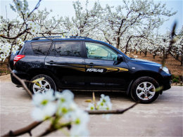 ���ܴ������Ϣ ŨŨ�滨��Ʈɢ������