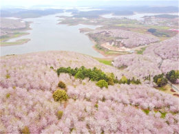 ��������趯 ����ƽ��ӣ��԰��������