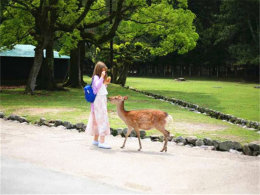 �ػ���ǻ��Ѫ ��Ȼ��Ȼ���ߡ��޺����