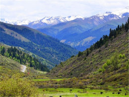 �������ƶ˵Ľ��� Զ�����ɽ����ˬ��