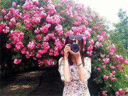 Ѱ��ʫ��Զ�� ���ճ������º��ߵ�����