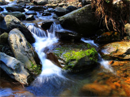 �����ڴ�ɽ� ̽�ú׷�����ԭʼɭ��