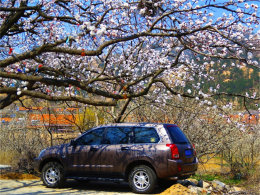 ���︴���������� ����̤���ͻ�����ʱ