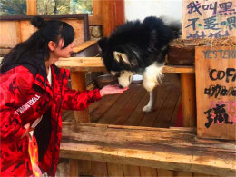 ��������ʽ��� ��������������ķ���