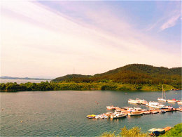 ������������ ȥ��ũ��Ѱ����ʧ������