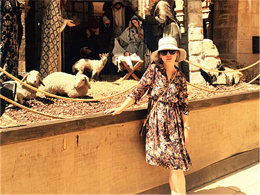 ����������ʥ�� Ү·������Ԣ��ƽ֮��